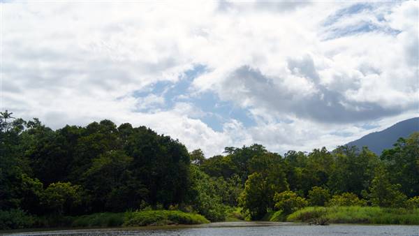 Mulgrave River (Cairns Region) (25/06/2015)