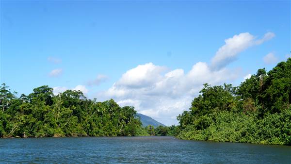 Mulgrave River (Cairns Region) (25/06/2015)