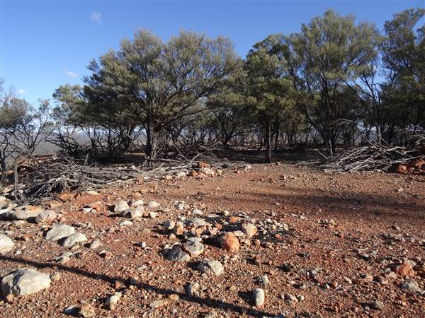 Longreach - Mount Slowcombe (22/07/2015 - Credits: Neil McGregor)