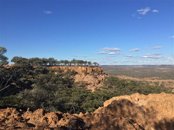 Longreach - Mount Slowcombe (22/07/2015 - Credits: Neil McGregor)