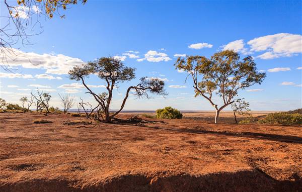 Age Of Dinosaurs (Rangelands) (22/07/2015)