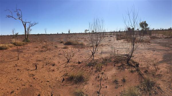 Winton-Jundah Road (24/07/2015 - Credits: Neil McGregor)