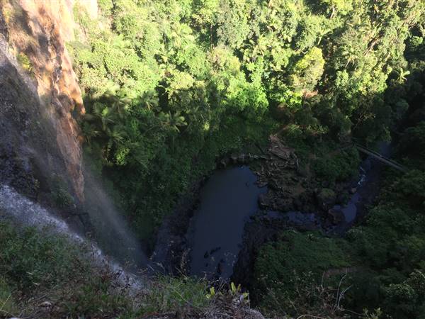 Purling Brook Falls - Springbrook National Park (10/12/2015 - Credits: Neil McGregor)
