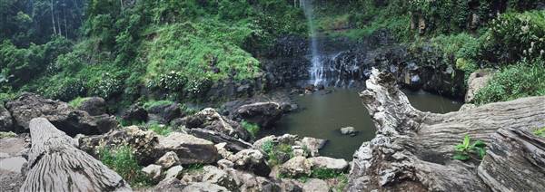 Purling Brook Falls - Springbrook National Park (10/12/2015 - Credits: Neil McGregor)