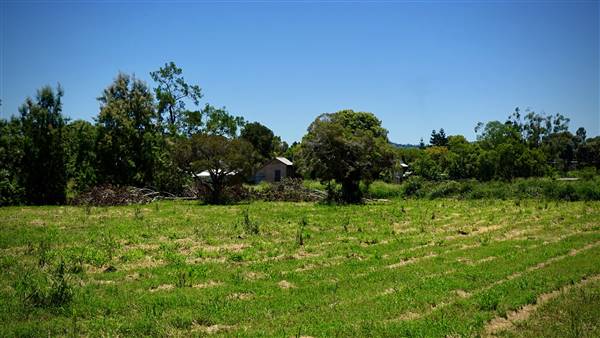 Marburg - Township (30/01/2017 - Credits: Neil McGregor)