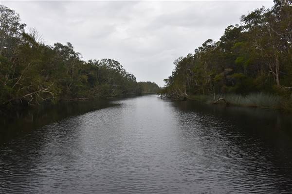 Harrys Hut Area (Noosa Everglades) (13/07/2017 - Credits: Kathryn Metcalfe)