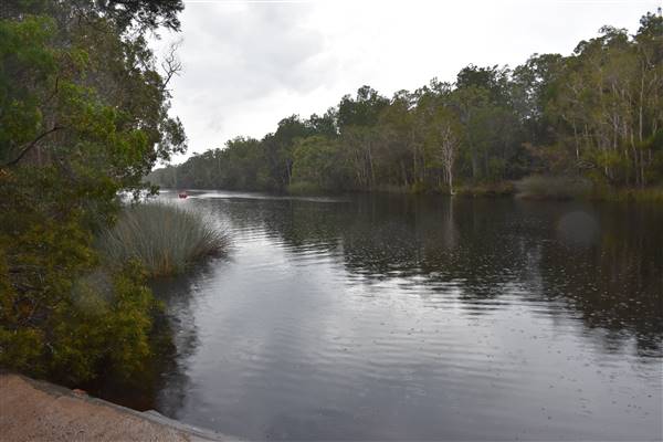 Harrys Hut Area (Noosa Everglades) (7/07/2017 - Credits: Kathryn Metcalfe)