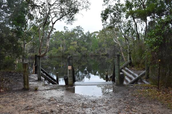 Harrys Hut Area (Noosa Everglades) (7/07/2017 - Credits: Kathryn Metcalfe)