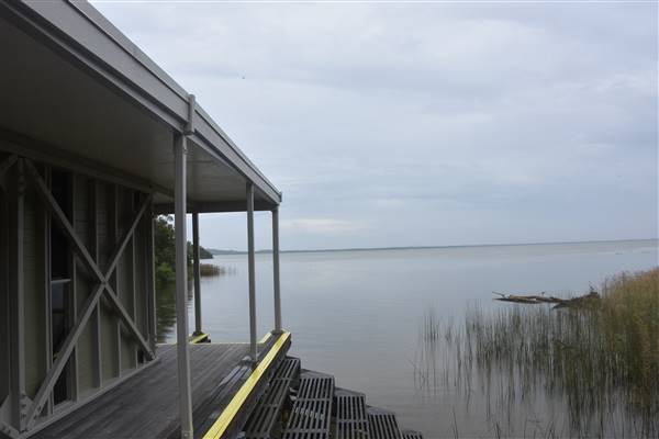 Noosa Everglades - Kinaba Information Building (13/07/2017 - Credits: Kathryn Metcalfe)