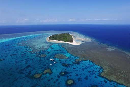 Great Barrier Reef - Lady Musgrave Island - Wallaginji (5/10/2018 - Credits: unknown)