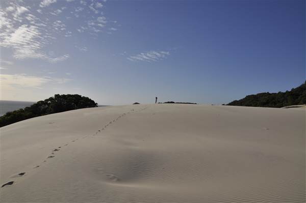 Mulgumpin (Moreton Island) - Big Sand Hills (11/04/2015 - Credits: Angus Ledgerwood)