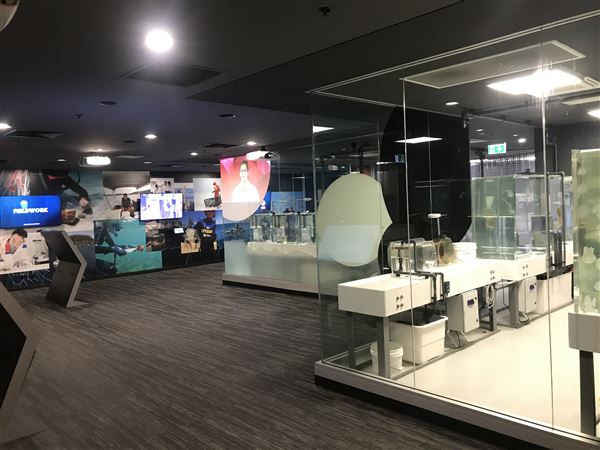 Sea Jelly Exhibit & Research Laboratory - Sea World Gold Coast (11/03/2019 - Credits: unknown)