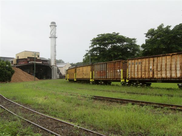 Mossman - Township (1/04/2019)
