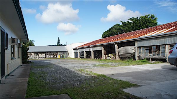 Mossman - Township (4/11/2019 - Credits: Karen Jones)