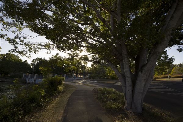 Spring Lake Park (11/05/2020 - Credits: Ipswich City Council)