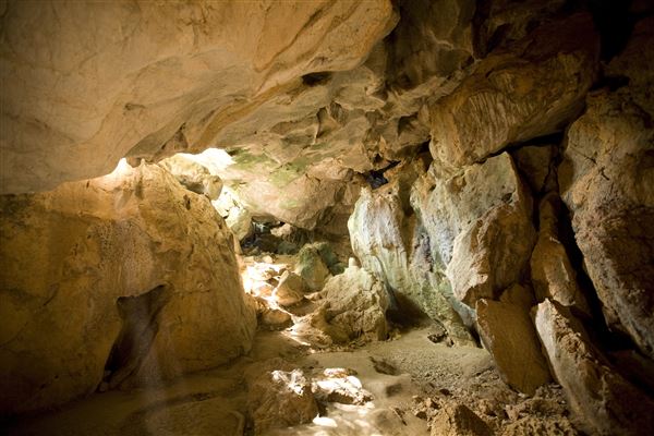 Capricorn Caves (1/06/2020 - Credits: Tourism & Events Queensland)