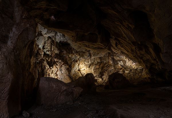 Capricorn Caves (1/07/2020 - Credits: Capricorn Caves)