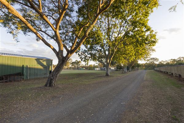 George and Eileen Hastings Sporting Complex (23/07/2020 - Credits: Ipswich City Council)