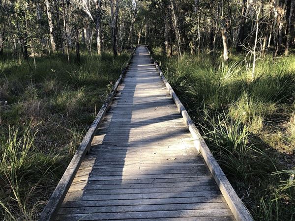 Karawatha Forest Park - Overview - Image Sourced - Do Not Make Public (10/12/2020)