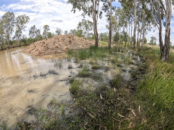 Willowbank MX (8/03/2021 - Credits: Ipswich City Council)