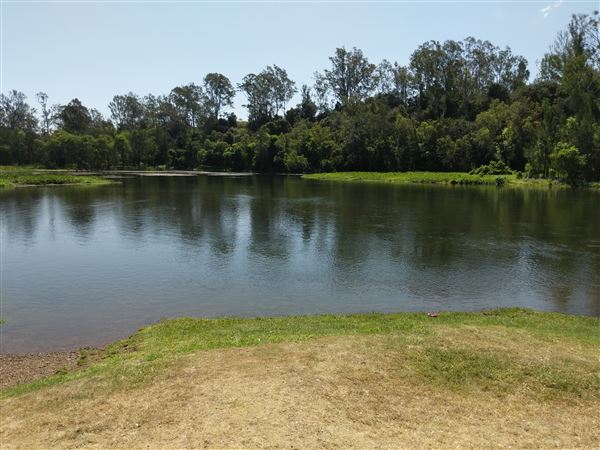 Parkland on the River - Colleges Crossing Recreation Reserve (20/09/2021 - Credits: Kathryn Metcalfe)