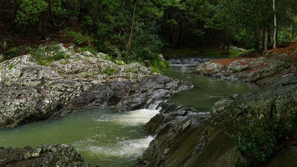 Currumbin Rock Pools (8/07/2019)