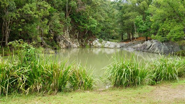 Currumbin Rock Pools (8/07/2019)