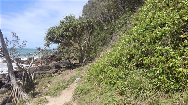 North of Boiling Pot/Tea Tree Bay (2/12/2022 - Credits: Brendan O'Sullivan)