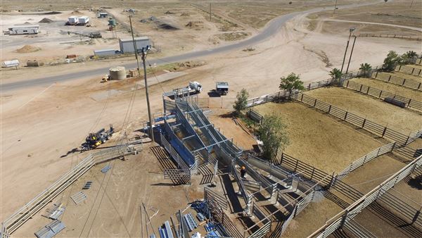 Winton Sale Yards (13/12/2022 - Credits: Winton Shire Council)