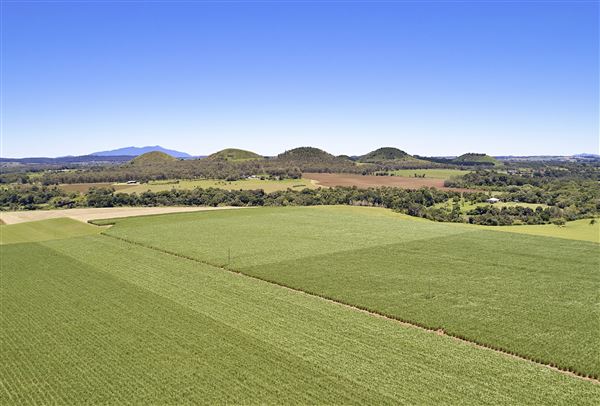 Seven sisters - The Pinnacles (8/02/2023 - Credits: John de Rooy, Atherton Tableland Photography)