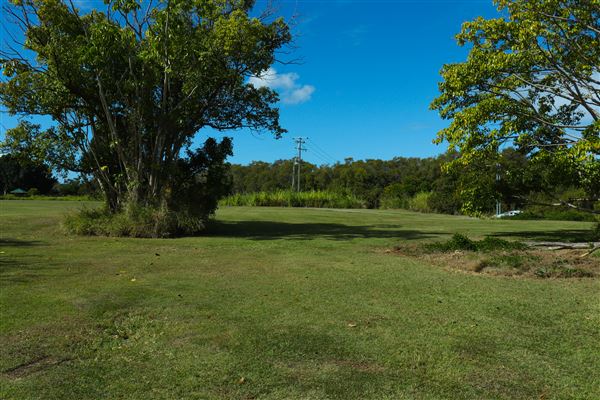 Curlew Park - Cabbage Tree Creek (11/05/2023 - Credits: Screen Queensland)