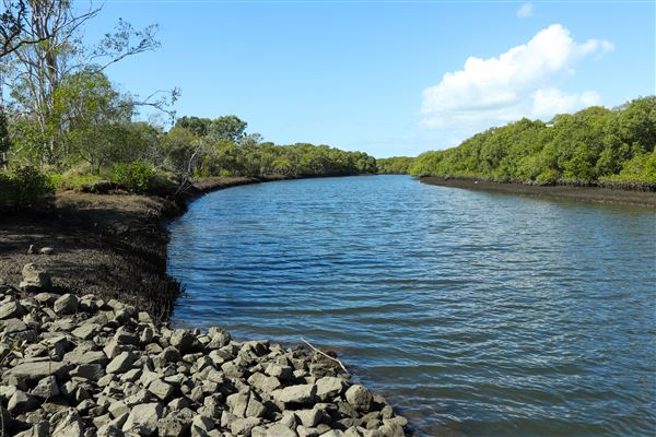 Nudgee Beach Wetlands Reserve (11/05/2023 - Credits: Screen Queensland)