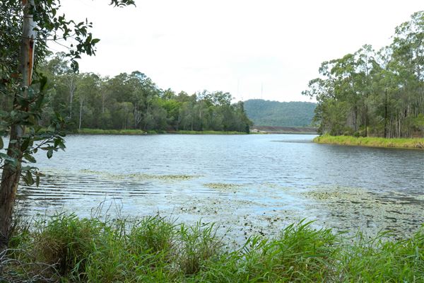 Enoggera Reservoir (12/05/2023 - Credits: Screen Queensland)