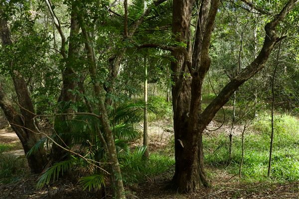 Enoggera Reservoir (12/05/2023 - Credits: Screen Queensland)