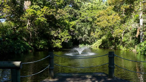 Rainforest Gardens (15/06/2023 - Credits: Screen Queensland)