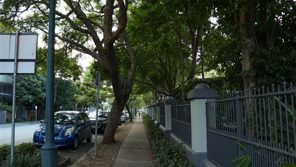 Newstead Streetscape (20/06/2023 - Credits: Screen Queensland)