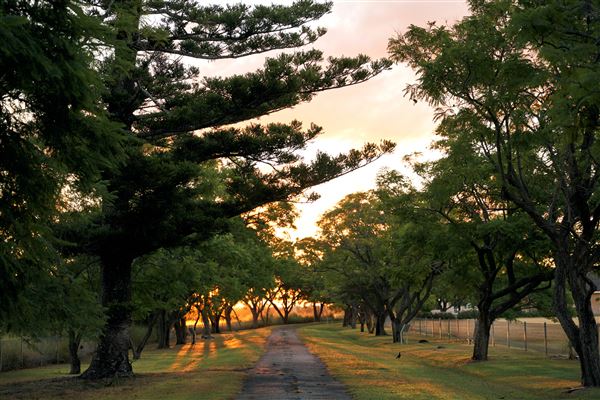 Jimbour House - Heritage-listed Homestead (20/08/2024 - Credits: Jimbour House)