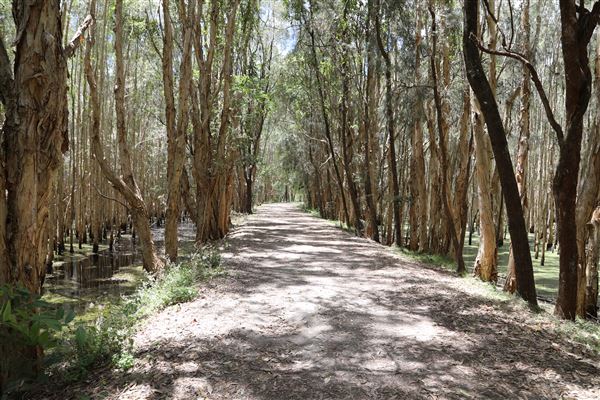 Gold Coast - Coombabah Lakelands (16/11/2022 - Credits: Duncan Jones)