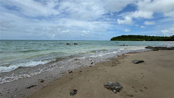Garners Beach (26/11/2023 - Credits: Karen Jones / Tom Hoffie)
