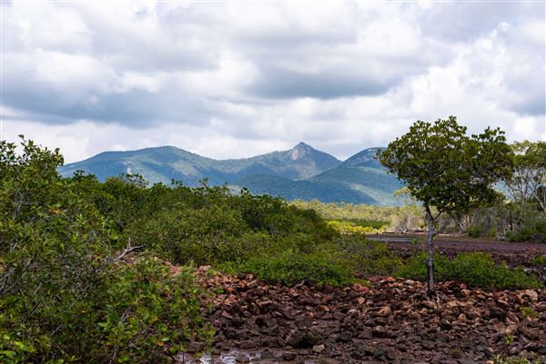 Mount Larcom (1/01/2019 - Credits: William Debois Photopia Studio)
