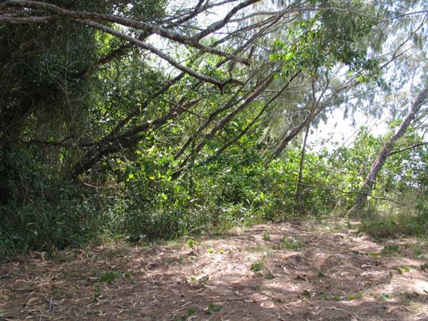 Cairns Region - Bramston Beach (24/07/2012)