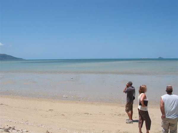 Dingo Beach (1/10/2007)