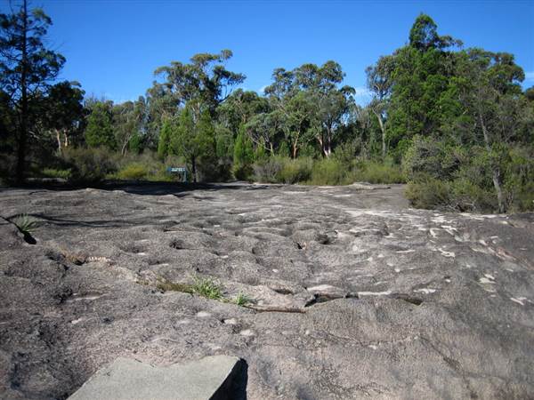 Warwick Region - Girraween National Park (25/09/2006)