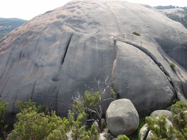 Warwick Region - Girraween National Park (25/09/2006)