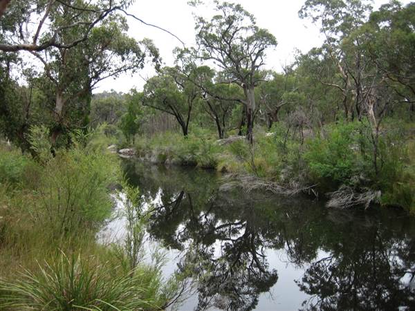 Warwick Region - Girraween National Park (25/09/2006)