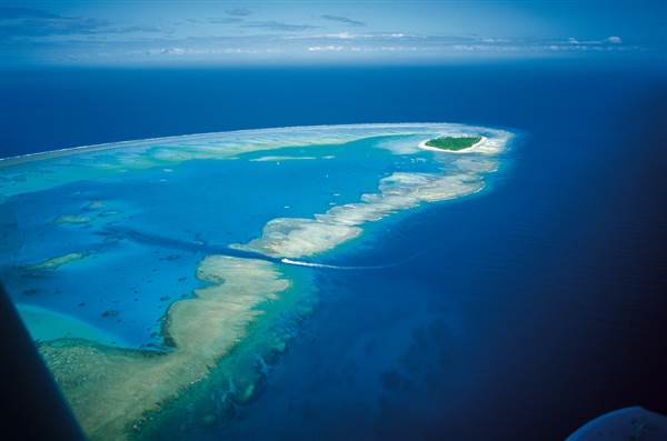 Great Barrier Reef - Lady Musgrave Island - Wallaginji (10/03/2008)