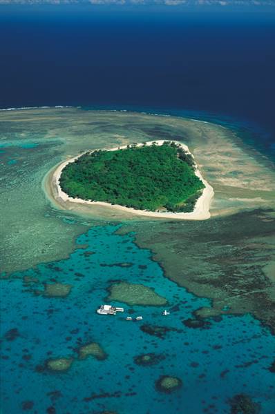 Great Barrier Reef - Lady Musgrave Island - Wallaginji (10/03/2008)