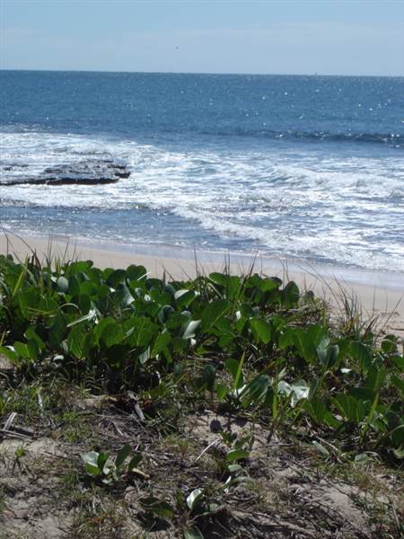 Mooloolaba - Beach (21/09/2006)