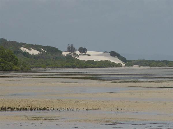 Mulgumpin (Moreton Island) (14/05/2009)