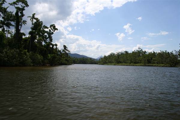 Mulgrave River (Cairns Region) (25/09/2007)